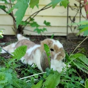 Meet your Posher, Airiana